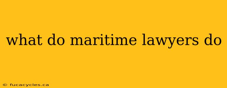 what do maritime lawyers do