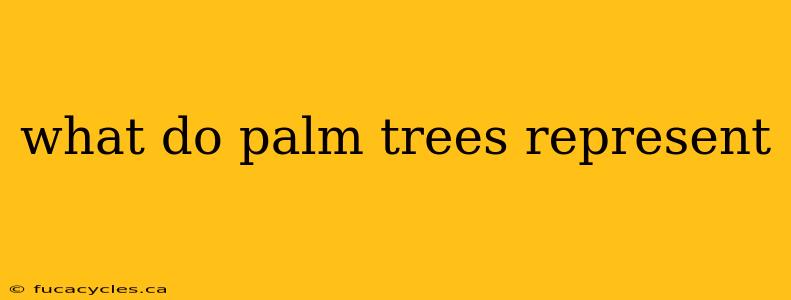 what do palm trees represent