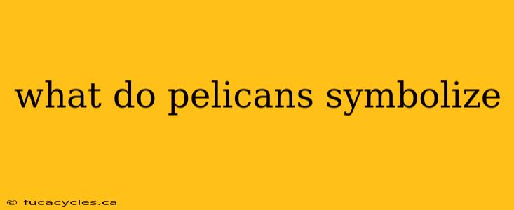 what do pelicans symbolize