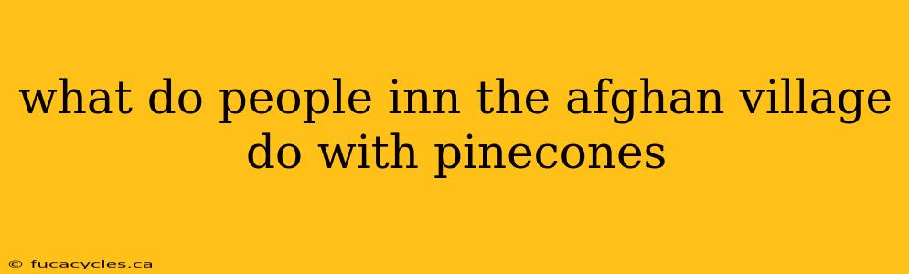 what do people inn the afghan village do with pinecones