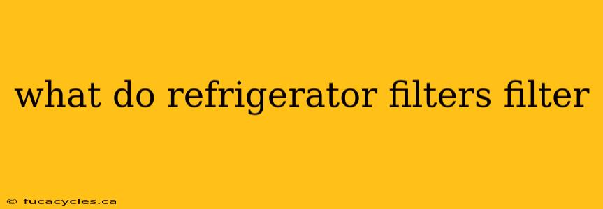 what do refrigerator filters filter