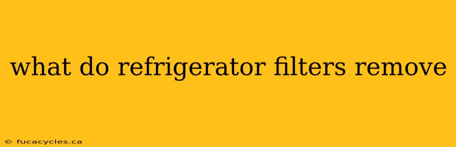 what do refrigerator filters remove