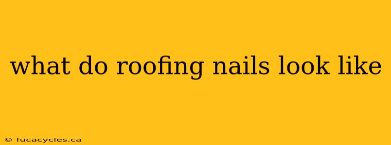 what do roofing nails look like