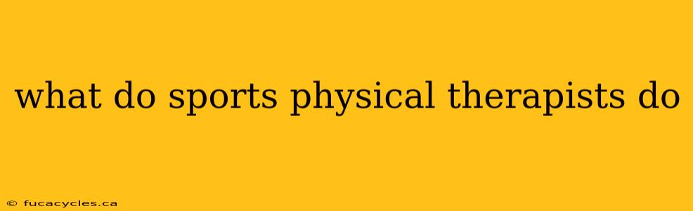 what do sports physical therapists do