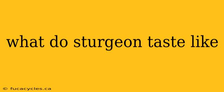 what do sturgeon taste like