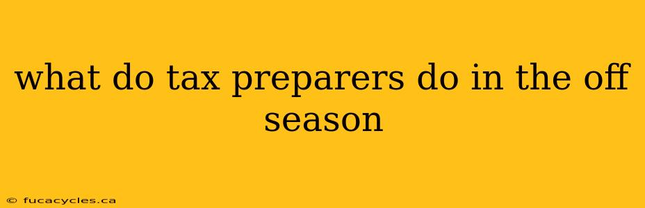 what do tax preparers do in the off season