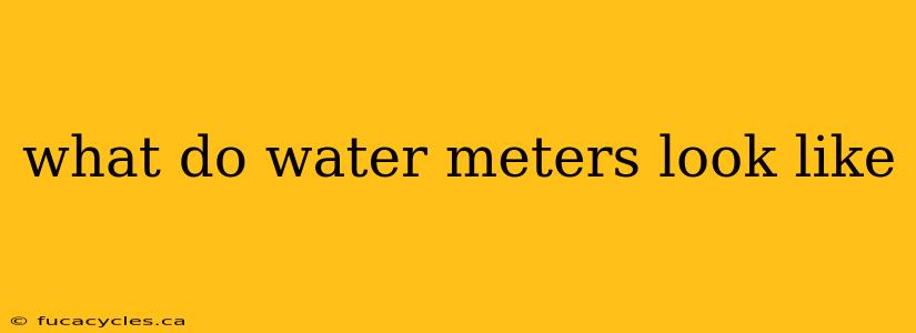 what do water meters look like