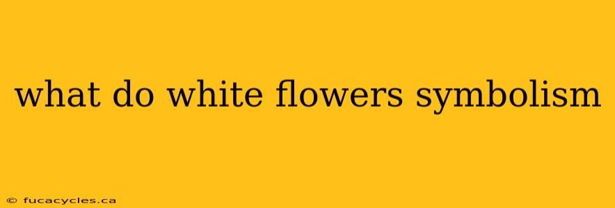 what do white flowers symbolism