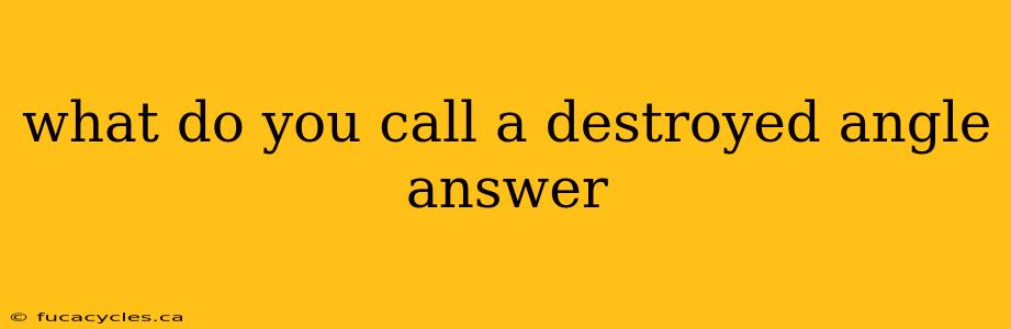 what do you call a destroyed angle answer