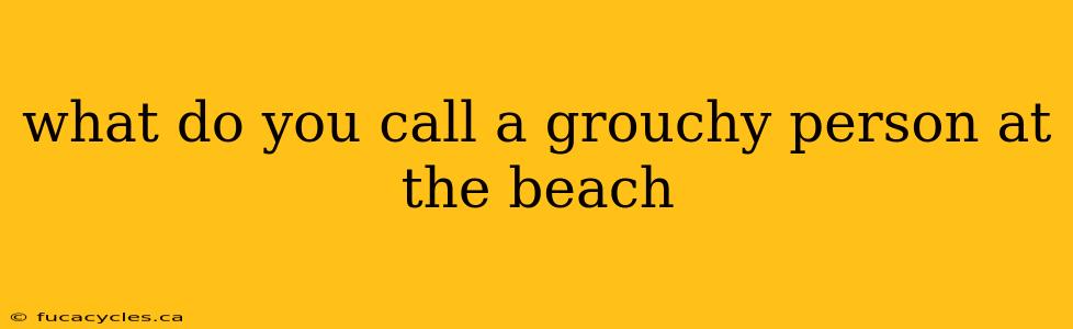 what do you call a grouchy person at the beach