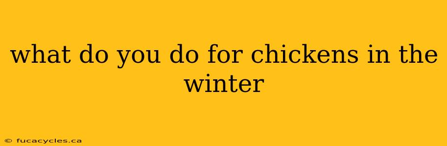 what do you do for chickens in the winter