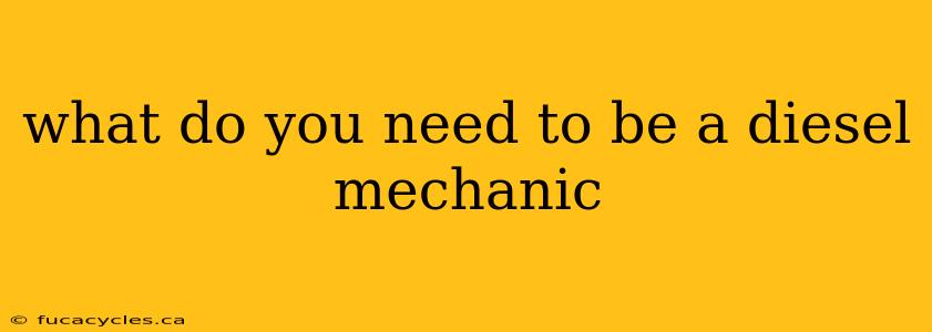 what do you need to be a diesel mechanic