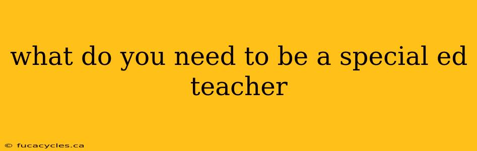 what do you need to be a special ed teacher