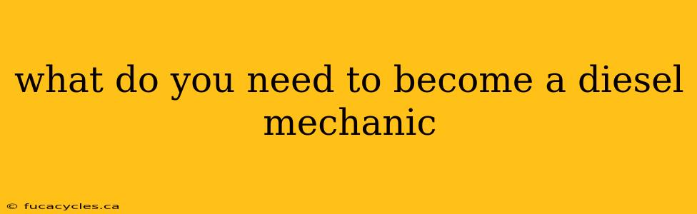 what do you need to become a diesel mechanic