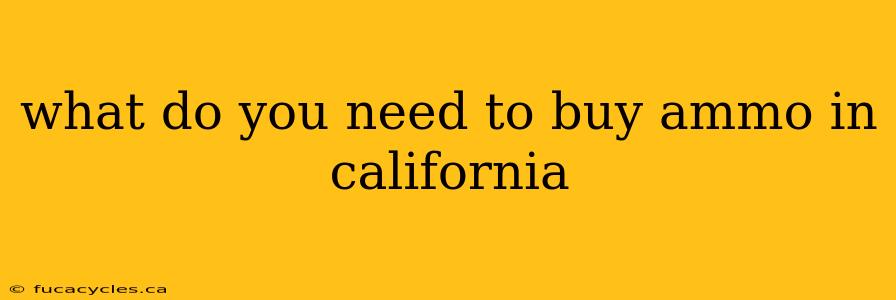 what do you need to buy ammo in california