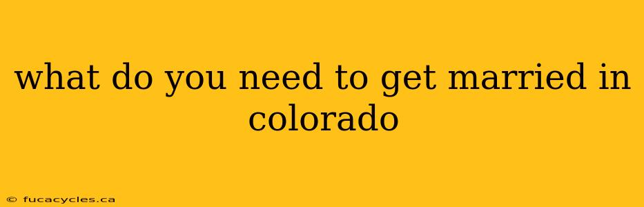 what do you need to get married in colorado