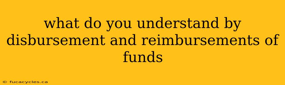 what do you understand by disbursement and reimbursements of funds