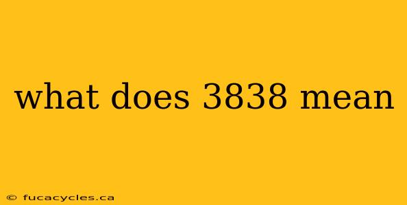 what does 3838 mean