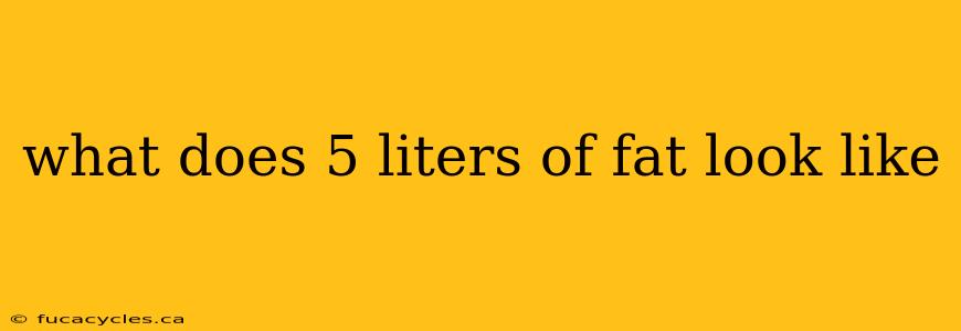 what does 5 liters of fat look like