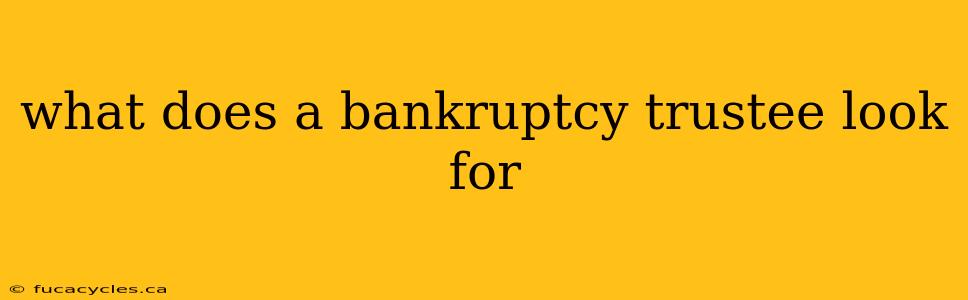 what does a bankruptcy trustee look for