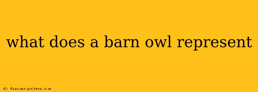 what does a barn owl represent