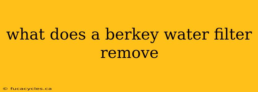 what does a berkey water filter remove