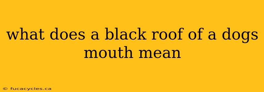 what does a black roof of a dogs mouth mean