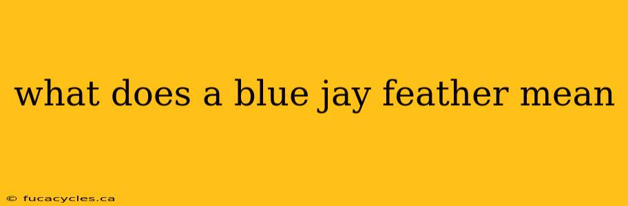 what does a blue jay feather mean