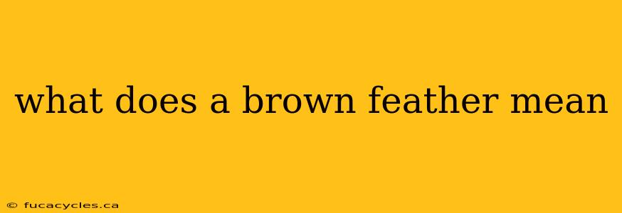 what does a brown feather mean