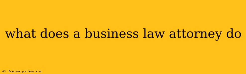 what does a business law attorney do