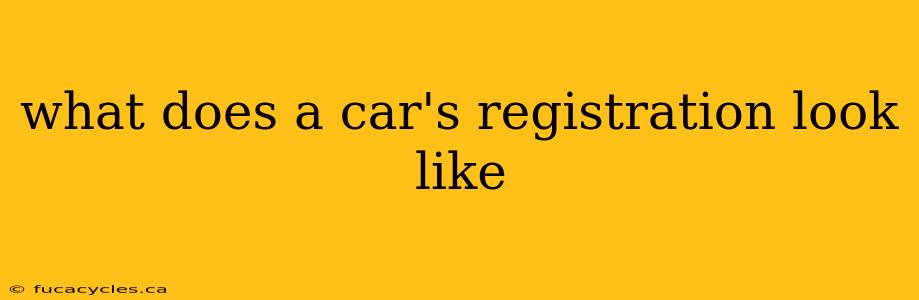 what does a car's registration look like