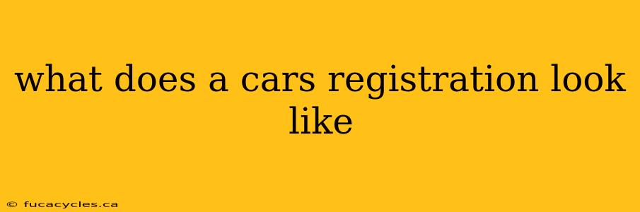 what does a cars registration look like