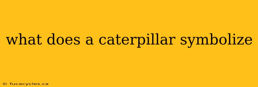 what does a caterpillar symbolize