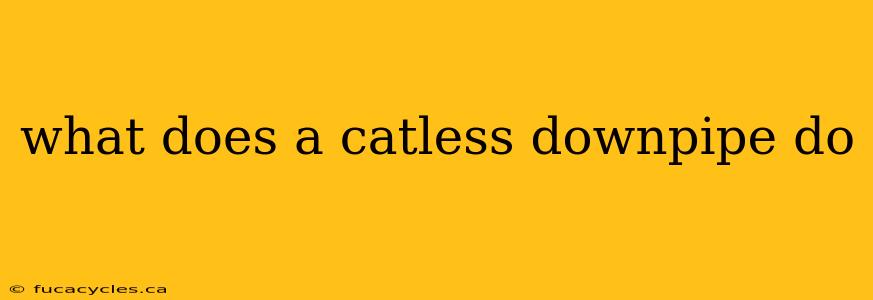 what does a catless downpipe do