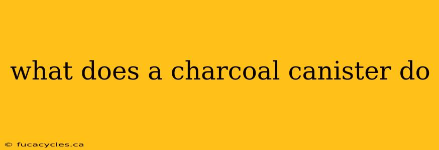 what does a charcoal canister do