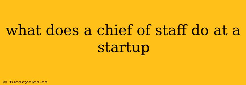 what does a chief of staff do at a startup