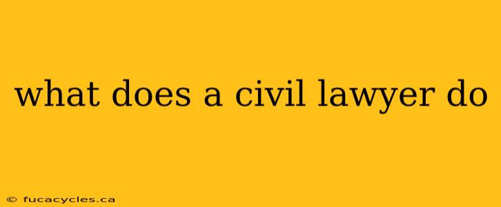 what does a civil lawyer do