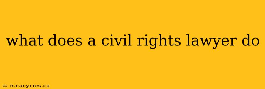 what does a civil rights lawyer do