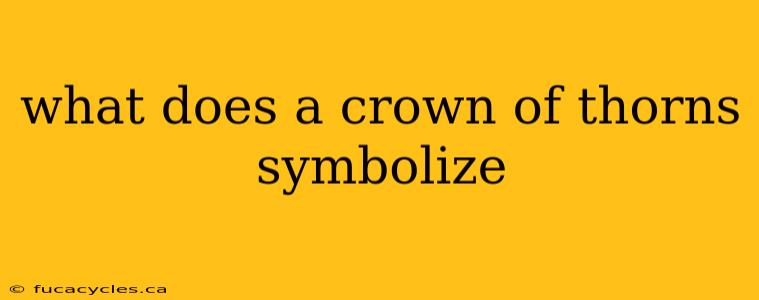 what does a crown of thorns symbolize