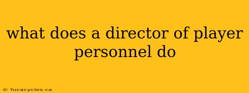 what does a director of player personnel do