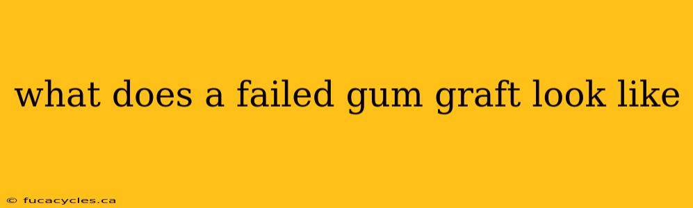 what does a failed gum graft look like