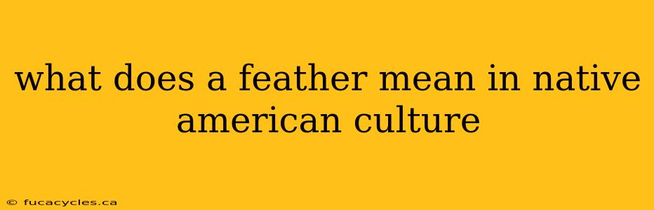 what does a feather mean in native american culture