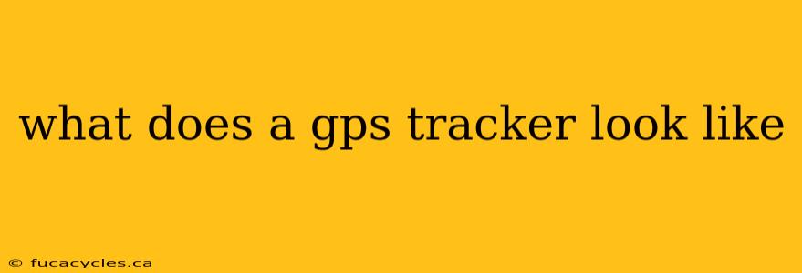 what does a gps tracker look like