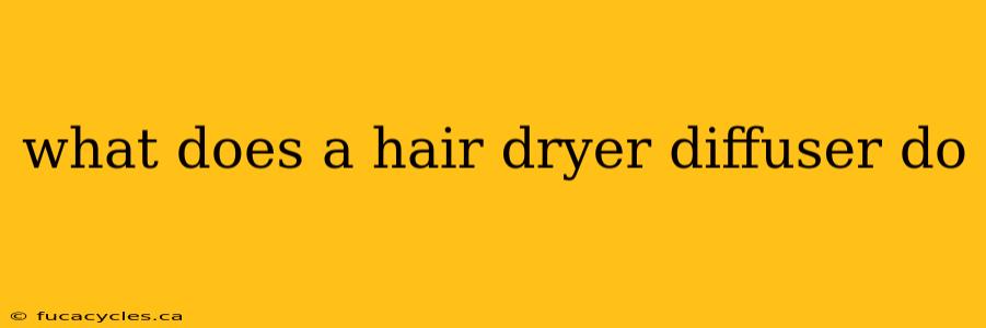 what does a hair dryer diffuser do