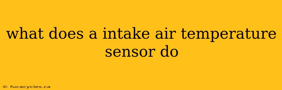 what does a intake air temperature sensor do