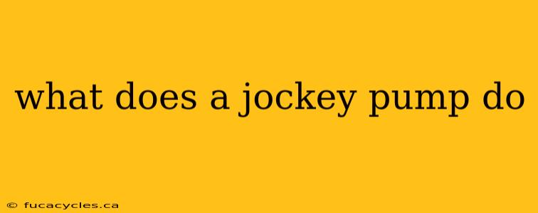 what does a jockey pump do