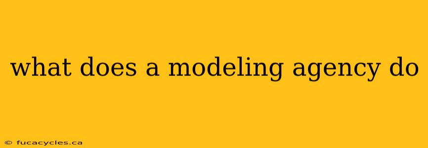 what does a modeling agency do