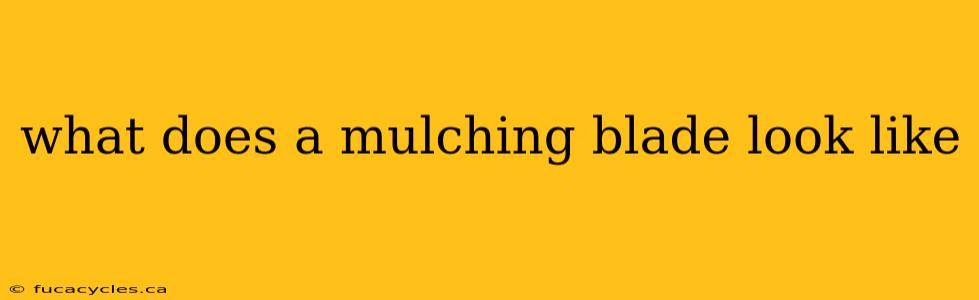 what does a mulching blade look like