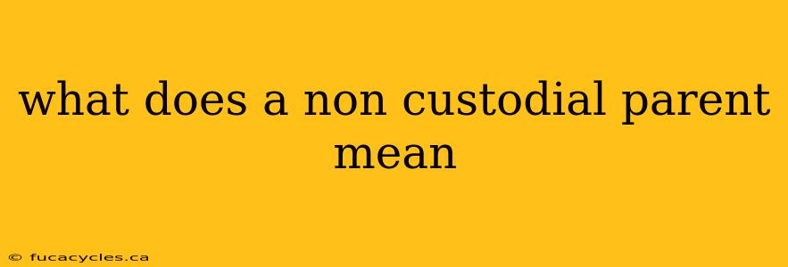 what does a non custodial parent mean