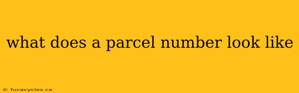 what does a parcel number look like